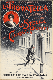 Cover of La Trovatella di Mulberry Street, ovvero La Stella dei Cinque Punti
