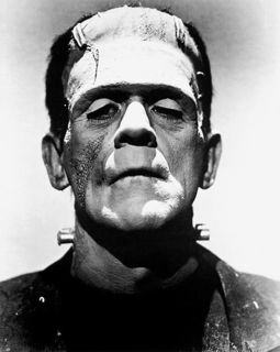 Cover of Frankenstein Or The Modern Prometheus - Google doc